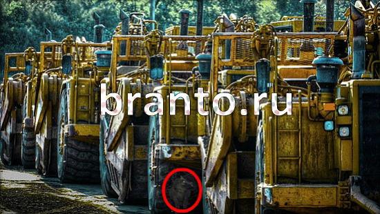 Где же кот игра ответы в одноклассниках Уровень 167