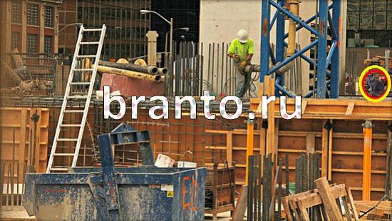 Где же кот? ответы Уровень 168