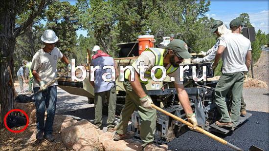 Где же кот? подсказки Уровень 169