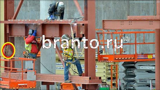 Где же кот? помощь Уровень 170