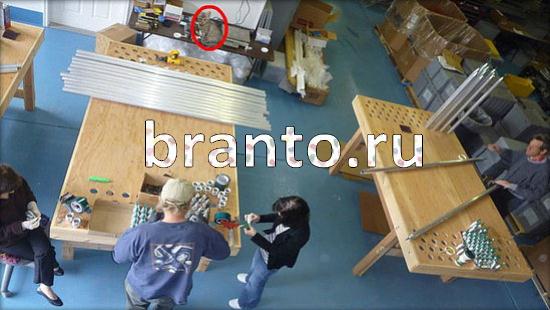 решебник на игру Где же кот Уровень 171