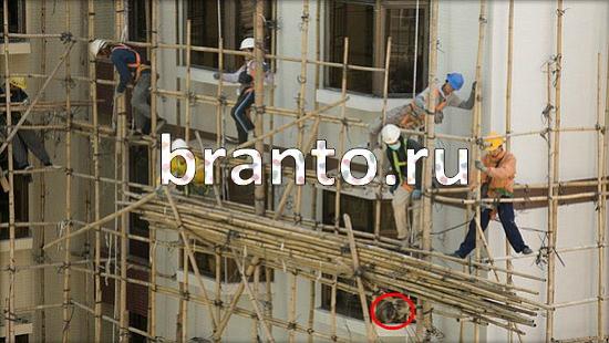 Где же кот игра ответы Уровень 173