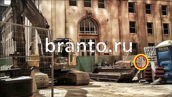 Где же кот игра помощь Уровень 175