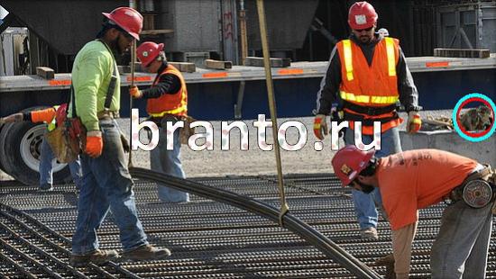 Игра Где же кот подсказки Уровень 178