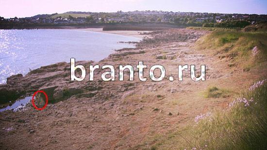 Прохождение игры Где же кот Уровень 184