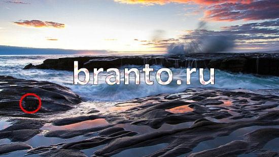 Где же кот игра ответы Уровень 189