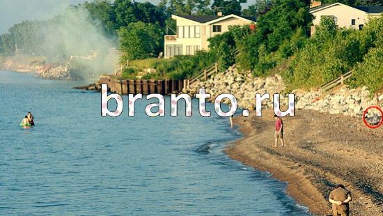 игра в одноклассниках Где же кот ответы Уровень 190