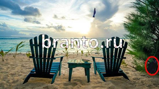 Где же кот помощь в картинках Уровень 191