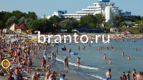 ответы на игру Где же кот в скриншотах Уровень 192