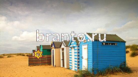 ответы на игру Где же кот Уровень 194