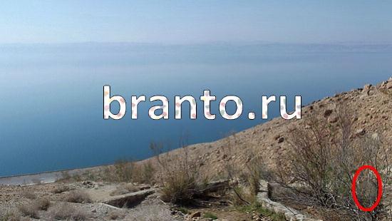 ответы на игру Где же кот Уровень 195