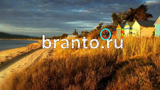 ответы на игру Где же кот Уровень 197