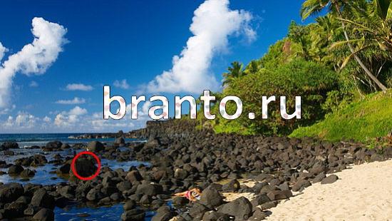 ответы на игру Где же кот Уровень 198