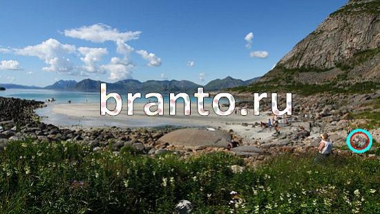 ответы на игру Где же кот Уровень 199