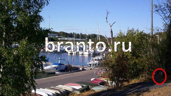 ответы на игру Где же кот Уровень 200