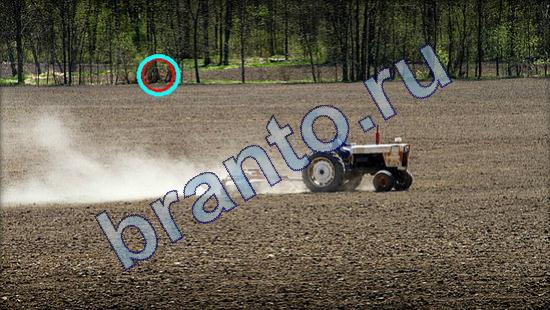 ответы на игру в одноклассниках Где же кот Уровень 1806