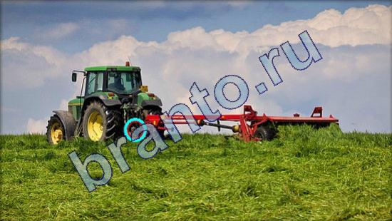 Где же кот ответы в картинках Уровень 1816