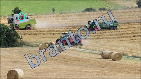 Игра Где же кот ответы Уровень 1817