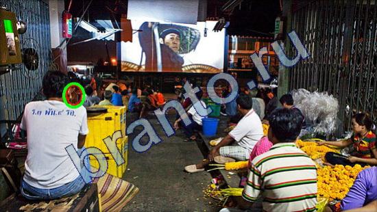 ответы на игру Где же кот в одноклассниках Уровень 1823