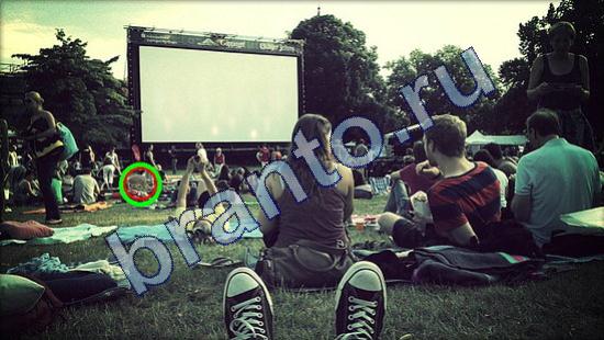 Где же кот игра ответы Уровень 1829