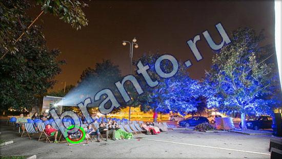 ответы на игру Где же кот в скриншотах Уровень 1832