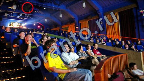 Где же кот ответы в одноклассниках Уровень 1839