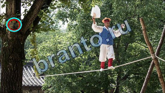 ответы на игру Где же кот Уровень 1881