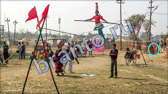 Подсказки на игру Где же кот Уровень 1882