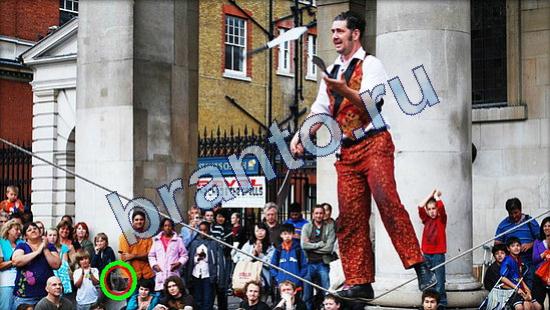 Решения на игру Где же кот Уровень 1883