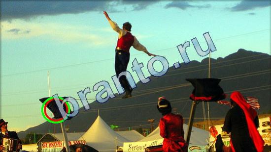 Помощь на игру Где же кот Уровень 1884