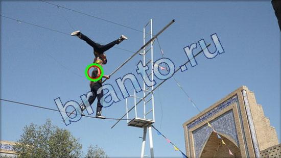 ответы к игре Где же кот Уровень 1885