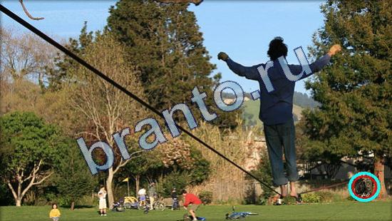 Где же кот игра ответы в одноклассниках Уровень 1887