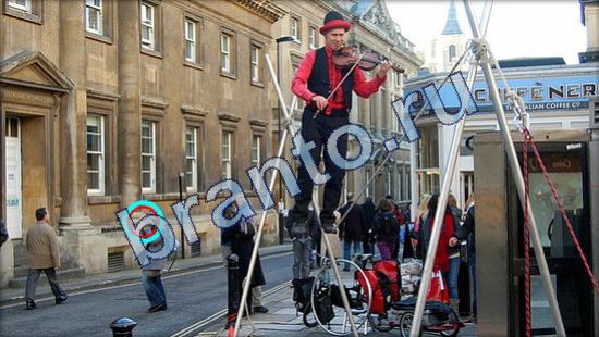 решебник на игру Где же кот Уровень 1891