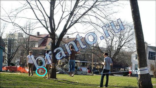 Где же кот? решения Уровень 1892