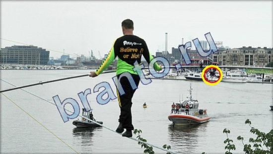 Где же кот игра ответы Уровень 1893