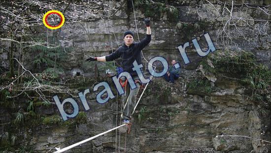 Где же кот игра подсказки Уровень 1894