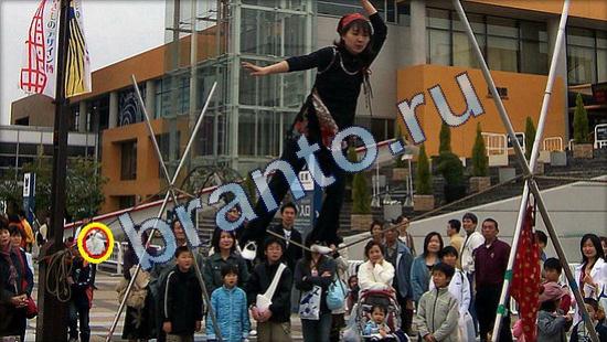 Где же кот игра помощь Уровень 1895