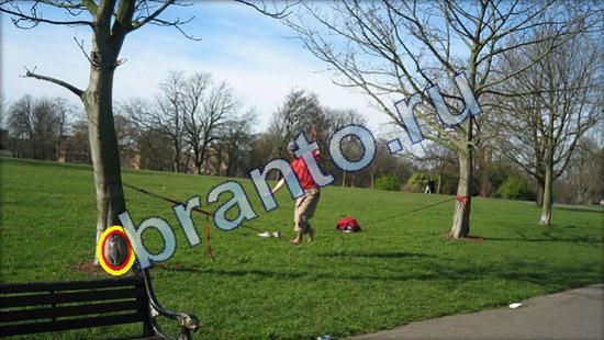 Где же кот ответы в картинках Уровень 1896