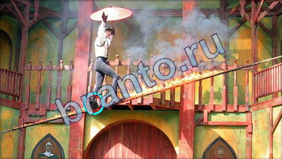 игра Где же кот помощь Уровень 1899