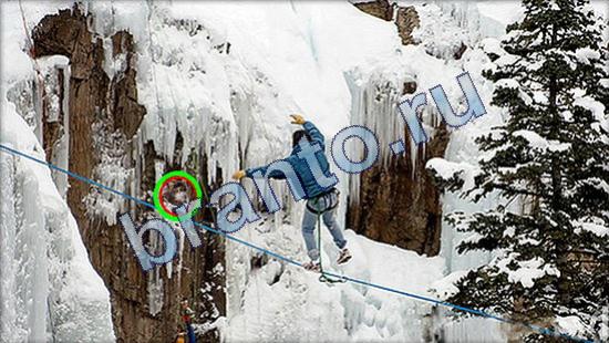 Игра Где же кот прохождение Уровень 1900