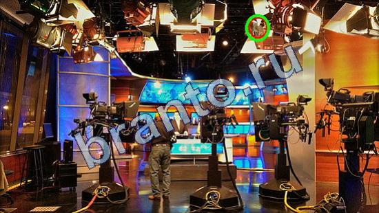 решения на игру Где же кот Уровень 1915