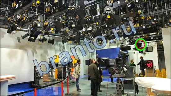 помощь на игру Где же кот Уровень 1918