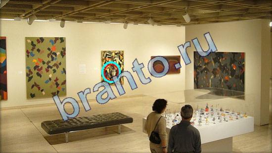 Помощь на игру Где же кот Уровень 1924