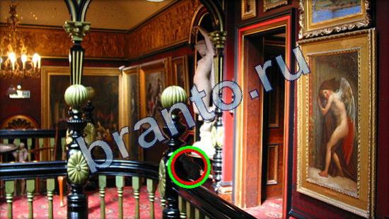 Где же кот? решения Уровень 1932