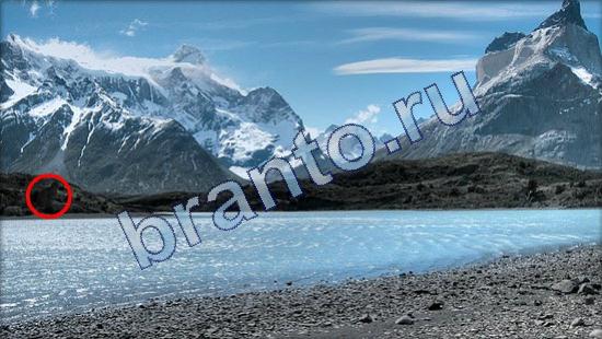 Где же кот прохождение игры Уровень 1942