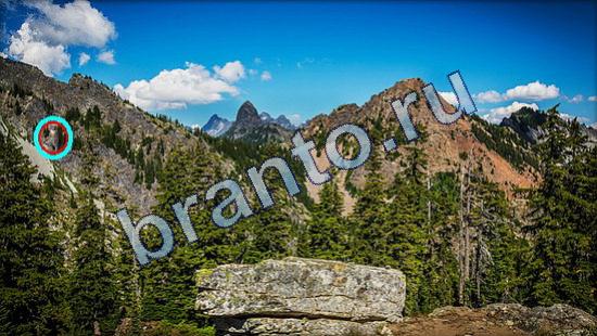 ответы на игру Где же кот в одноклассниках Уровень 1943