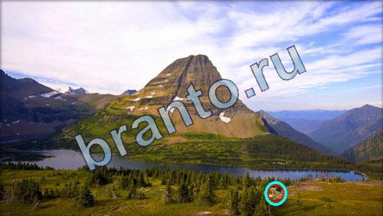 ответы Где же кот Уровень 1945