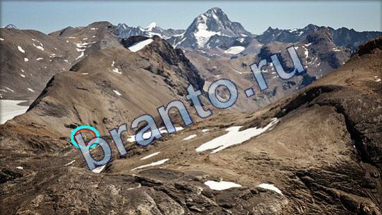 решения для игры Где же кот Уровень 1948