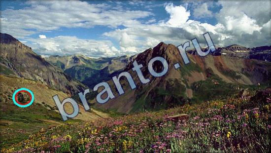 Где же кот игра ответы Уровень 1949