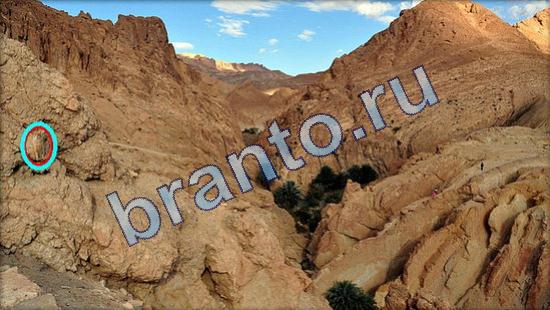 Где же кот помощь в картинках Уровень 1951